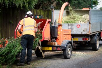 Wood chipper services in Winnipeg Beach, Manitoba by Allied Tree