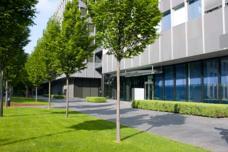 Commercial tree services by Allied Tree