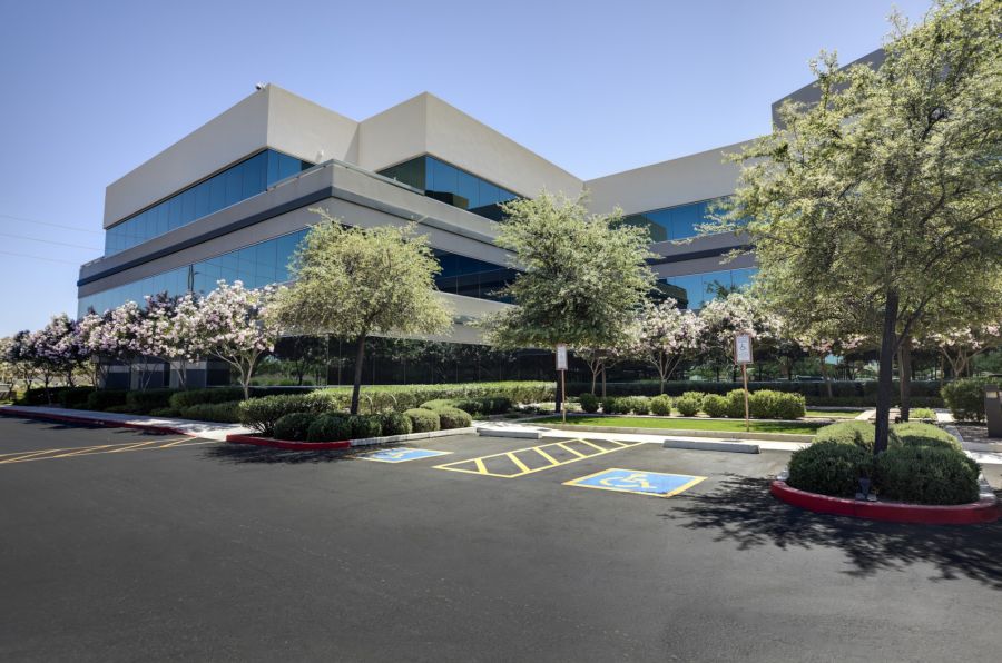 Commercial tree services by Allied Tree