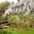 Tache Tree Debris Removal by Allied Tree